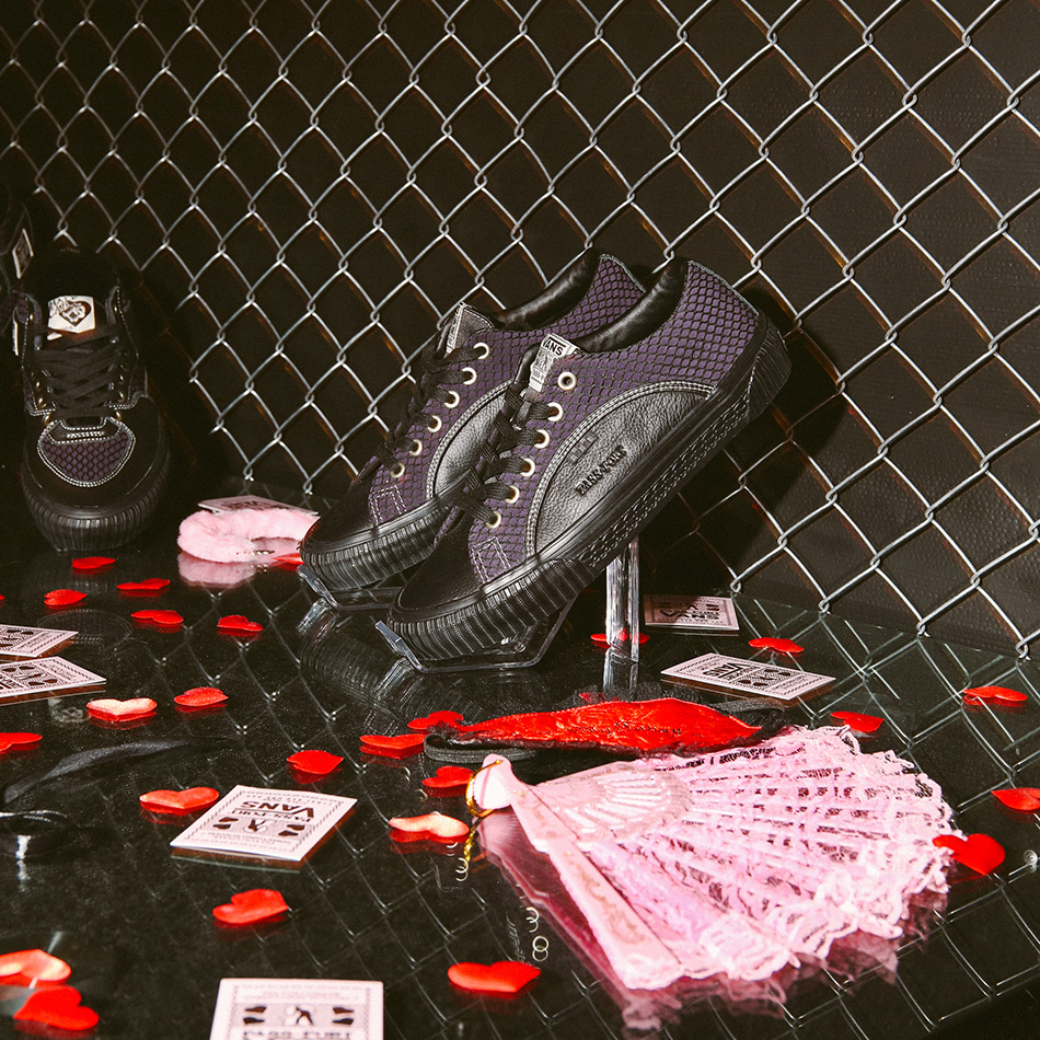 PP VANS 1x1 8622