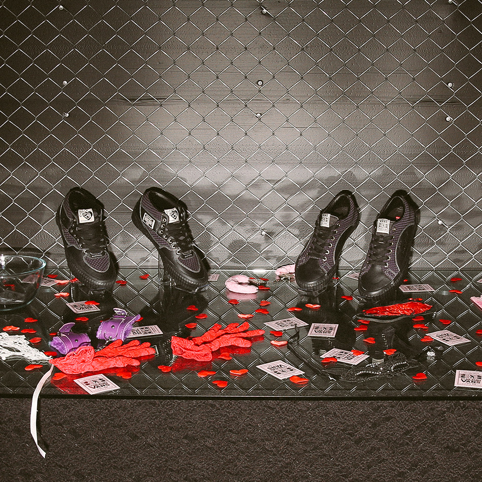 PP VANS 1x1 8752