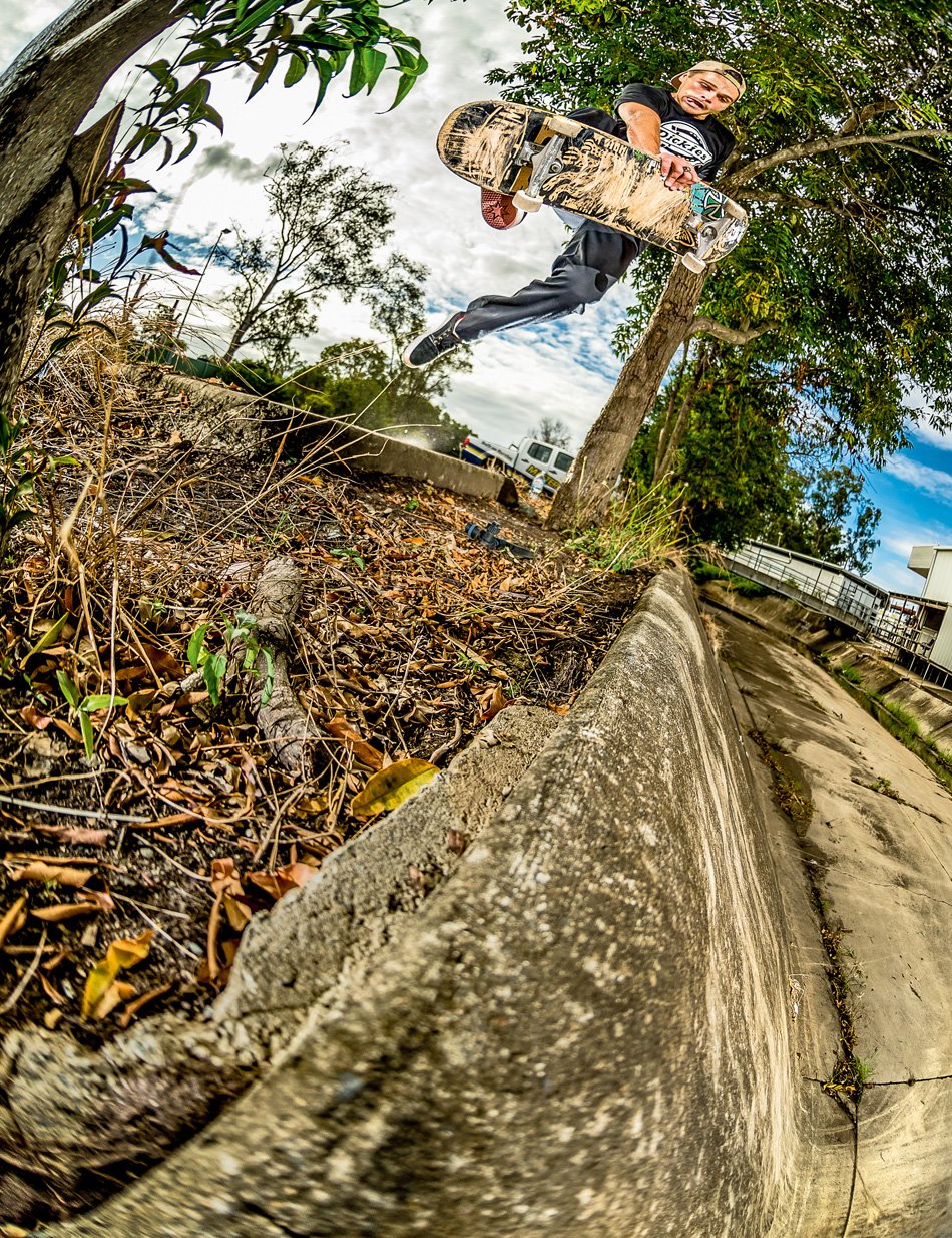 ChaseBoneless 950