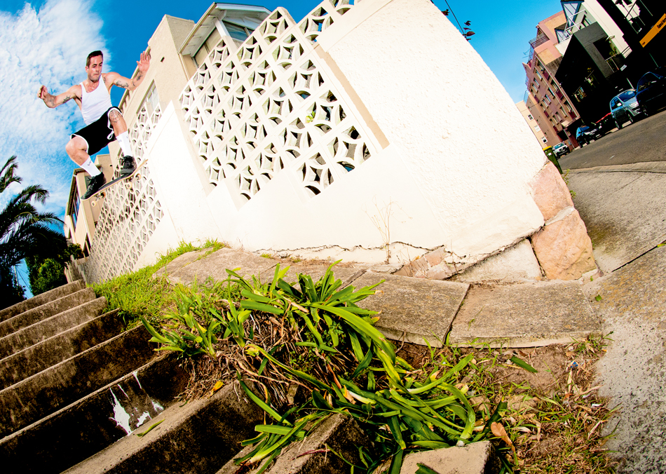 Rhino Ollie coogee samcoady 950