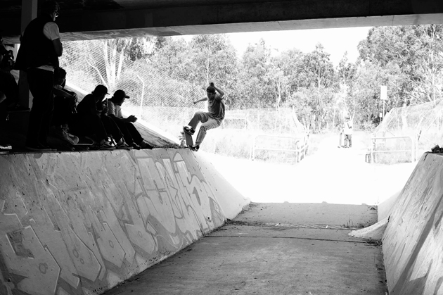 JackOGrady nosegrind Phelper Rhino 630wide