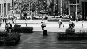 SYDNEY SKATEBOARDING | ARTICLE