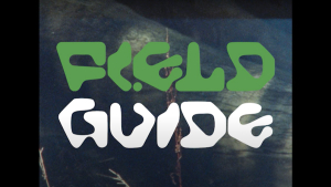 FIELD GUIDE | VIDEO