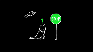 PANDA SKATEBOARDS – GREEN STOP SIGN | VIDEO
