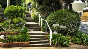ROB PACE – STRIDER | VIDEO