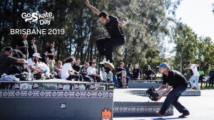 BRISBANE GSD WITH CHIMA | VIDEO