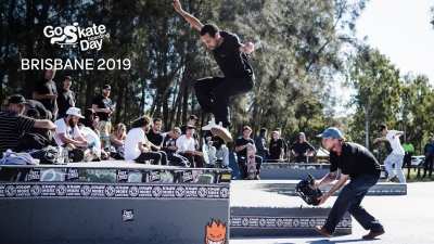 BRISBANE GSD WITH CHIMA | VIDEO
