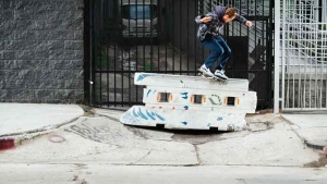 AVE SIGNATURE VANS COLLECTION