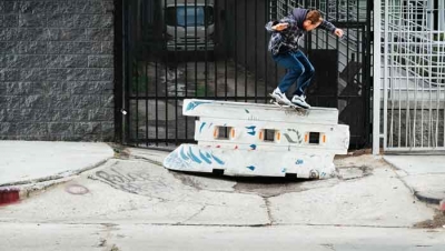 AVE SIGNATURE VANS COLLECTION