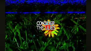 CONSIDER THE LILIES | VIDEO