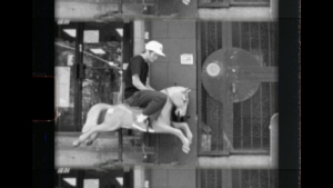 DEAD HORSE | VIDEO